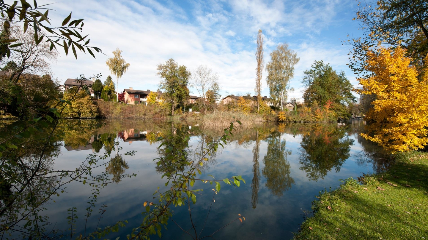 wetzikon-schoenau-1