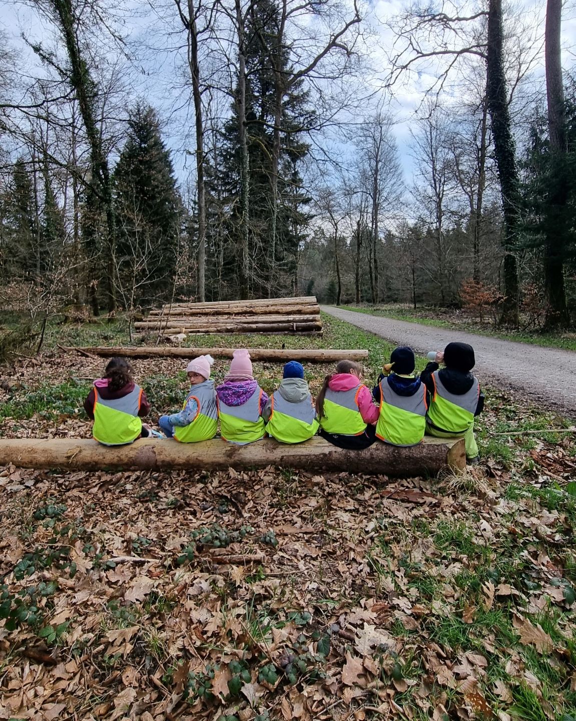 Wald Schulhaus Suhr