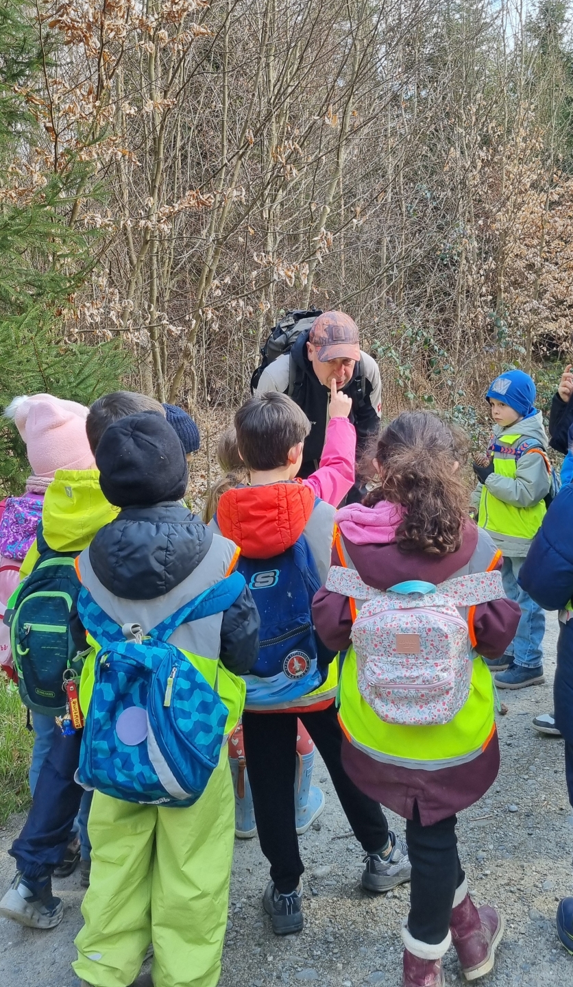 Wald_Schulhaus Suhr1