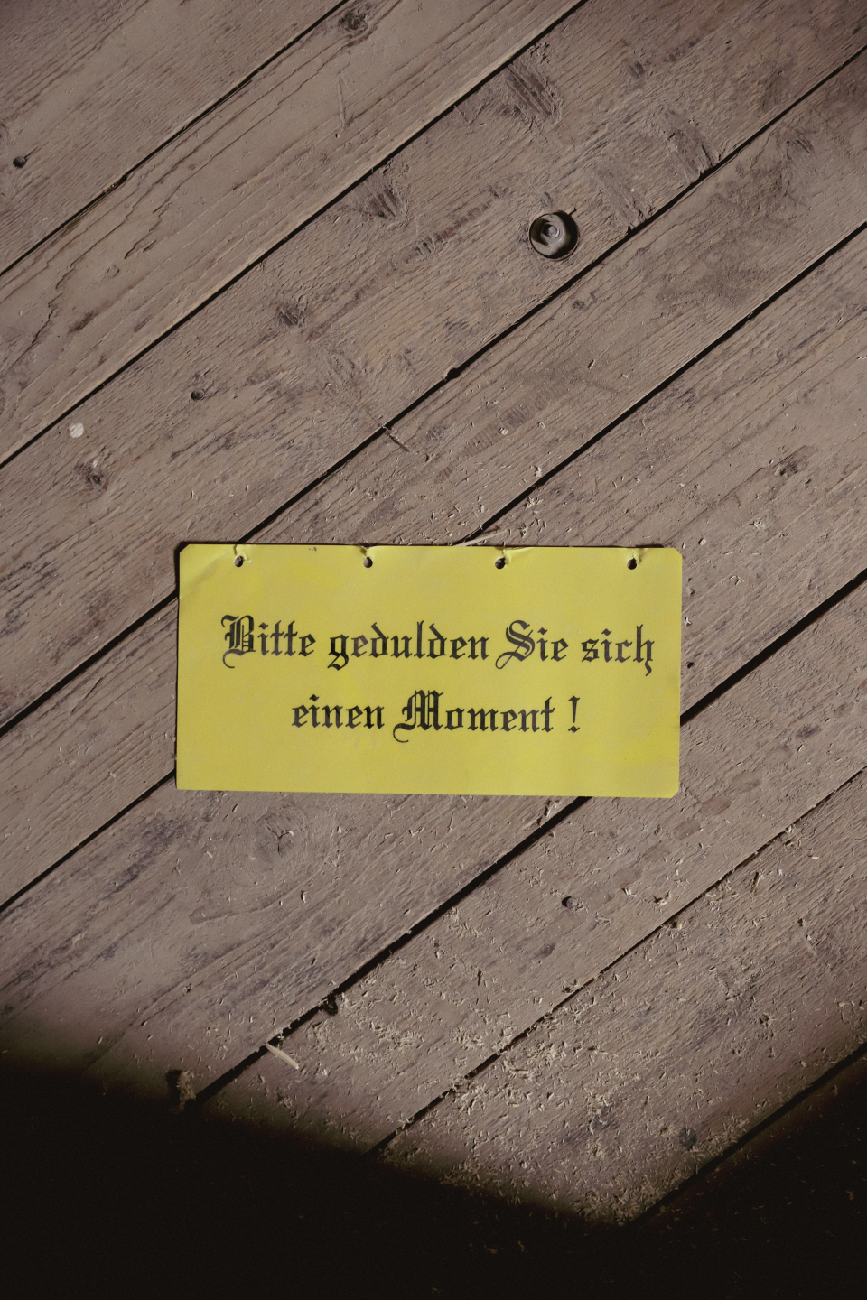 11-IMG_5091