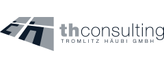 TH_Consulting